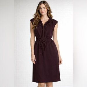 UNIQLO Plum Dress with Pockets